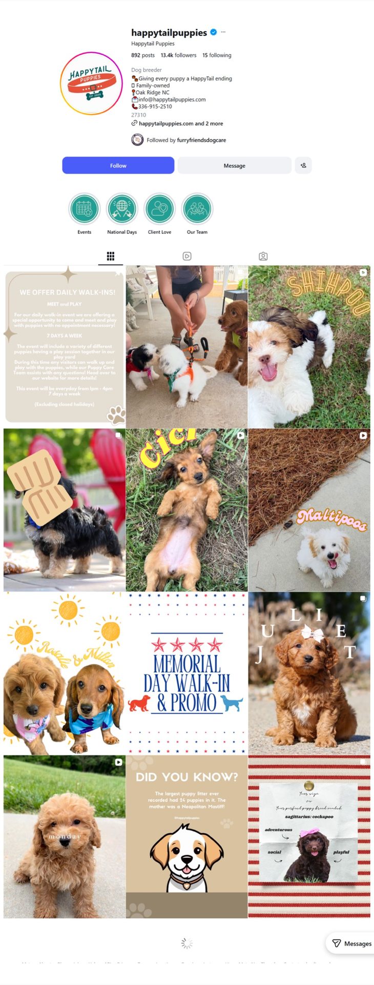 Happy Tail Puppies social media growth results by Inventive Media